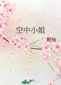 空中小姐