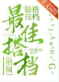 最佳搭檔[刑偵]